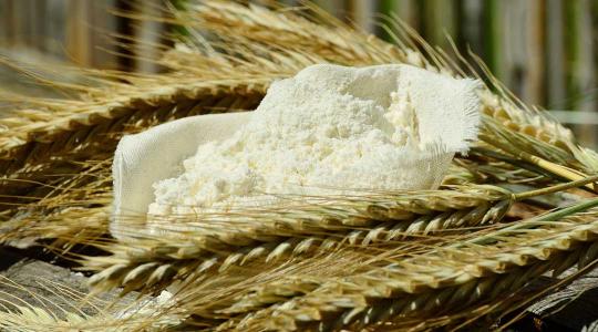 Szlovákia is meglépte: ideiglenesen leállítja az ukrán gabona importjátMár három EU-s ország blokkolja az ukrán gabonát.