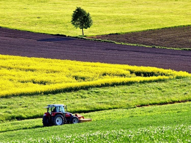 Figyelem! Indulnak az ellenőrzések! A területalapú támogatásod is függhet tőle