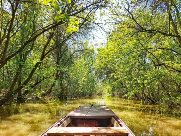 Érkezik a Boglya Feszt, a Tisza-tavi öko-művészeti fesztivál