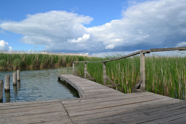 Felemás eredménnyel zárult a Tisza-tó és környéke nyári szezonális ellenőrzése