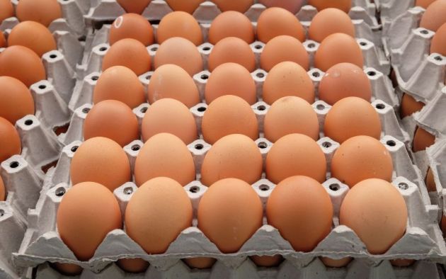 A tojás csomagolóhelyi ára 65 százalékkal nőtt