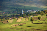 A bizalom és a barátság jól kamatozik