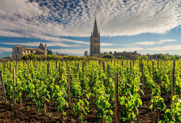 Miért költ Franciaország a saját boraik megsemmisítésére?