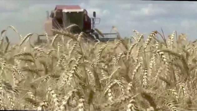Meghosszabbítja a kormány az ukrán mezőgazdasági termékekre vonatkozó behozatali tilalmat