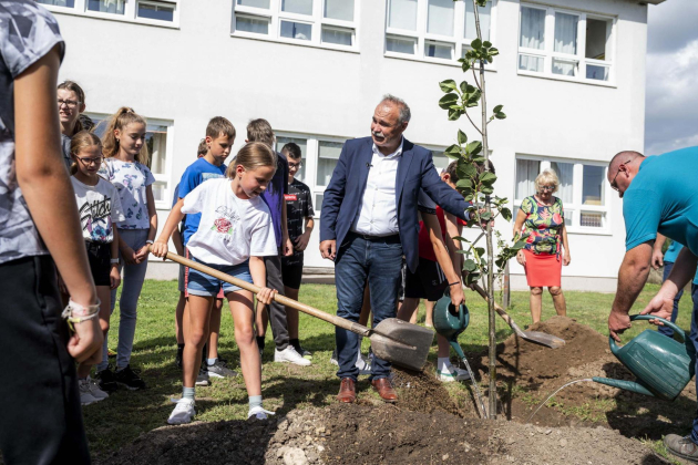 Megkezdődött a Településfásítási Program őszi ültetési időszaka