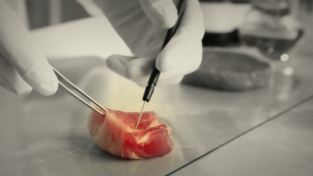 Nem vicc: Lollobrigida betiltja a műhúst a mezőgazdaságért