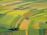 Október közepén indul az agrártámogatások előlegfizetése