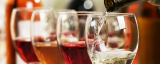 A 2023-as év legjobb új borait díjazták Mohácson